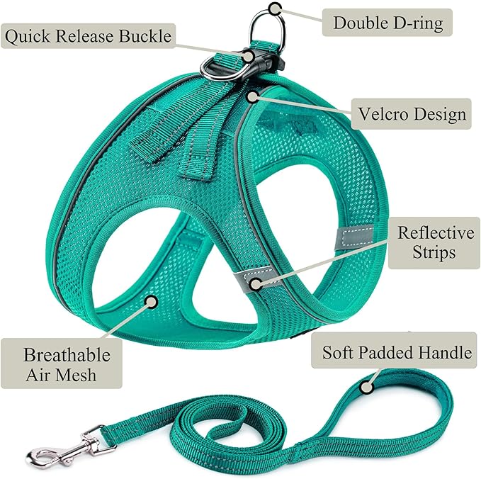 Dog Harness with Leash Set, No Pull Adjustable Reflective Step-in Puppy Pet Vest Harnesses for Small Medium Large Dogs and Cats,Forest Green L