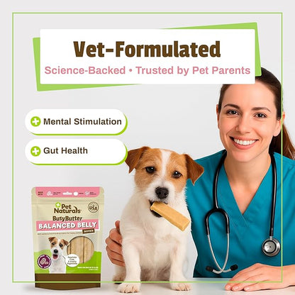 Pet Naturals BusyButter Balanced Belly Peanut Butter Bones, Rawhide-Free Chews for Small Dogs, Long Lasting Chew Bones, Probiotics & Pumpkin for Gut Health, 22 Count
