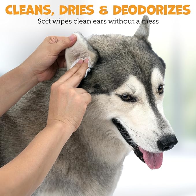 Pack Approved Advanced Ear Wipes for Dogs & Cats with Aloe Vera - Gentle, Non-Irritating Ear Cleaner for Cats and Dogs - Helps Deodorize and Remove Ear Wax - Cucumber Melon Scent (100 Wipes)