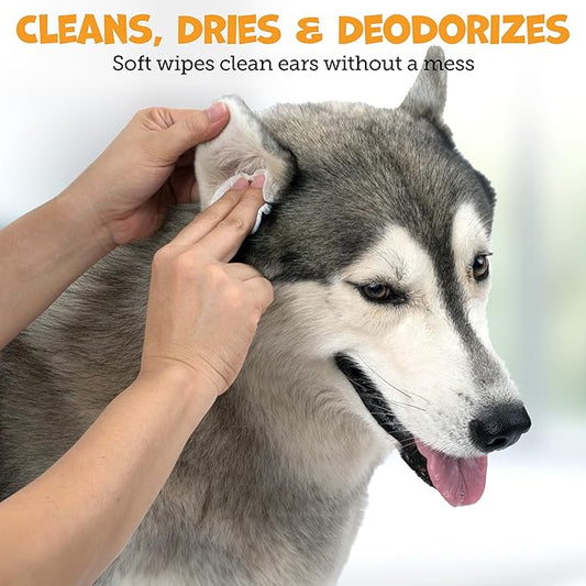 Pack Approved Advanced Ear Wipes for Dogs & Cats with Aloe Vera - Gentle, Non-Irritating Ear Cleaner for Cats and Dogs - Helps Deodorize and Remove Ear Wax - Cucumber Melon Scent (100 Wipes)