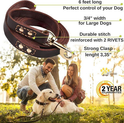 Leather Dog Leash 6 ft x 3/4 inch - Soft, Strong, Heavy Duty for Large & Medium Breeds - Dog Lead for Walking (Brown - Gold Colored Clasp, L - 6 ft x 3/4 inch)