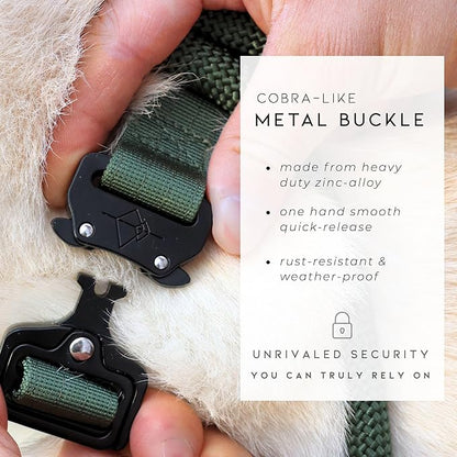 Made to ROAM Premium Dog Collar - Adjustable Heavy Duty Nylon Collar with Quick-Release Metal Buckle (Michigan Autumn, Classic Size 4)