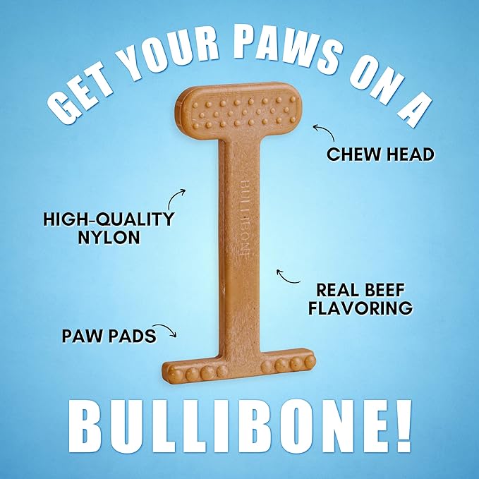 Bullibone Nylon Dog Chew Toy for Aggressive Chewers - Dental Hygiene Bone with Beef Flavor, Durable Tough Chew Toys for Extra Large Dogs, Indestructible Dog Bone - Single