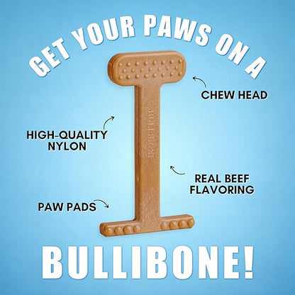 Bullibone Nylon Dog Chew Toy for Aggressive Chewers - Dental Hygiene Bone with Beef Flavor, Durable Tough Chew Toys for Extra Large Dogs, Indestructible Dog Bone - Single