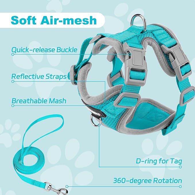 Small Dog Harness and Leash Set，No Pull Adjustable Pet Harness for Small Dogs ，Breathable Mesh Reflective Dog Vest Harness (Turquoise, XS)