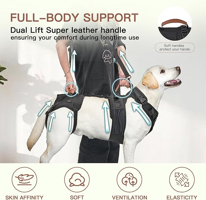 Dog Lift Harness, Full Body Dog Harness with Handle for Lifting, Front/Back Leg Support, Prevent Chafing Pee-Able Design, 2-in-1 Detachable Dog Assist Harness for Senior Disabled Dogs Up to 40lb
