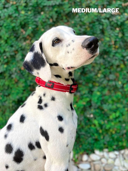 Tuff Pupper Heavy Duty Dog Collar with Handle | Ballistic Nylon Heavy Duty Collar | Padded Reflective Dog Collar with Adjustable Stainless Steel Hardware | Convenient Sizing for All Breeds