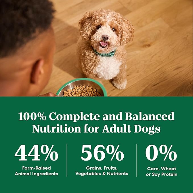 Nutro Natural Choice Adult Small Bites Dog Food, Chicken & Brown Rice Recipe, 13 lb. Bag
