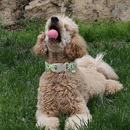 Unique style paws St. Patrick's Day Dog Collar Plastic Buckle Collar with Pendant Green Lucky Magic Hat Gift for Small Medium Large Boys Girls Dogs