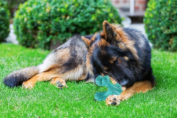 CVALIN Dog Chew Toys for Aggressive Chewers Large Breed,Indestructible Bones Toy，Durable Cleaning Toothbrush Natural Rubber Dog Toys… (Blue)
