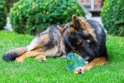CVALIN Dog Chew Toys for Aggressive Chewers Large Breed,Indestructible Bones Toy，Durable Cleaning Toothbrush Natural Rubber Dog Toys… (Blue)