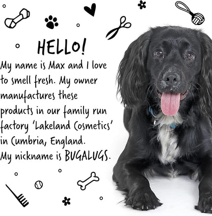 BUGALUGS Dog Shampoo Luxury 2 in 1 Papaya & Coconut Dog Grooming Shampoo Products for Smelly Dogs with Fragrance, Best Puppy Shampoo, Professional Groom Vegan pet Shampoo & Conditioner