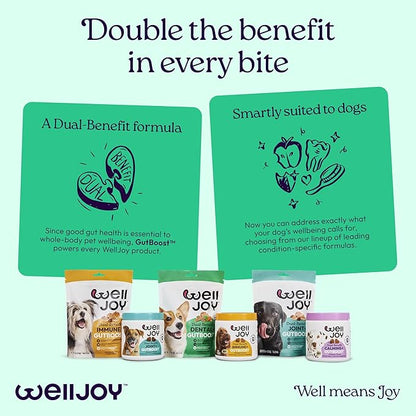 New! WellJoy Dog Treat Dental+ GutBoost | Helps Reduce Tartar | Freshens Breath | Dual-Benefit GutBoost Formulation | Vet Formulated | Made in USA | Made with Real Shredded Chicken | 24 Sticks