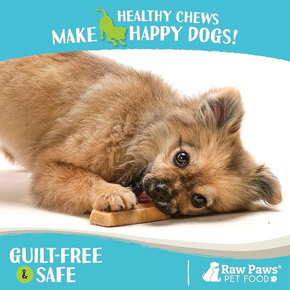 Raw Paws Himalayan Yak Chews for Dogs - Small (12-Count) - Packed in USA - Tibetan Yak Cheese Dog Chews for Small Breeds - Hard Milk Dog Chew Bones - Single Ingredient - Long Lasting