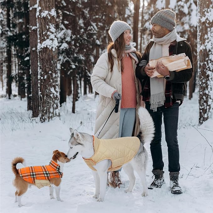 Kuoser Warm Dog Coat, Waterproof Dog Coats for X-Small Dogs, Adjustable Durable Doggie Winter Jacket Reversible Cozy Puppy Cold Weather Apparel from Small to Large Breed, Orange XS