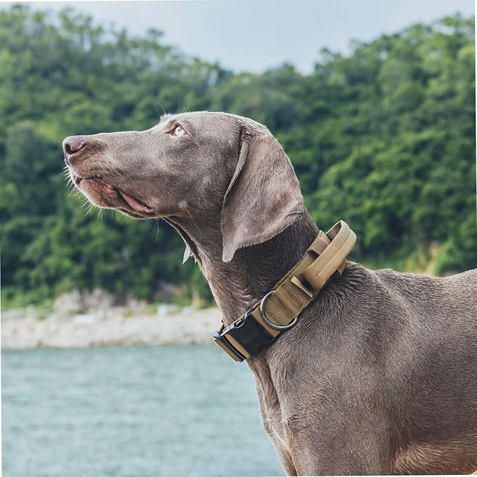 OneTigris Tough Dog Collars, Tactical Dog Collar with Handle, Milltary Adjustable Dog Collar with Heavy Duty Metal Buckle for Training (Large (Pack of 1), Brown)