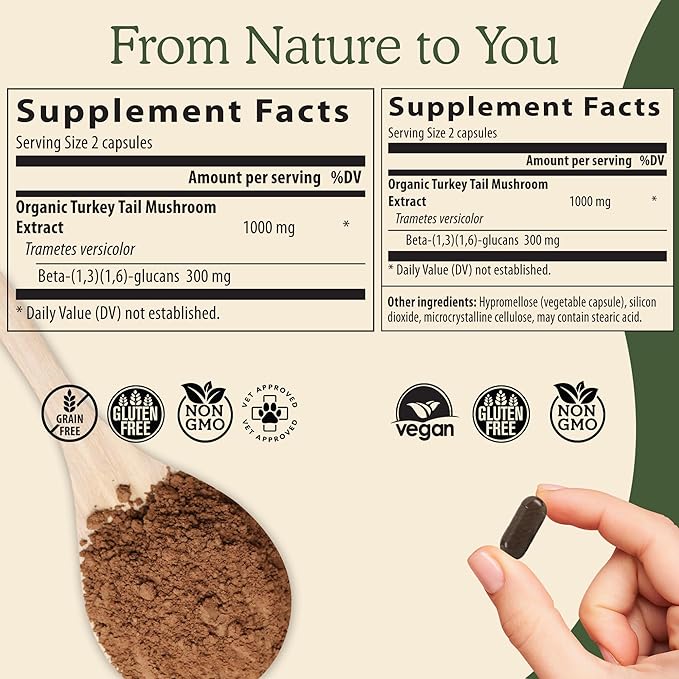 Real Mushrooms Turkey Tail Mushroom Powder – Organic Mushroom Extract for Daily Wellness Gut Harmony, & Energy Support with Beta Glucans – Vegan, Non-GMO, 45 Servings Functional Supplement