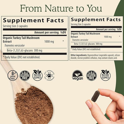 Real Mushrooms Turkey Tail Mushroom Powder – Organic Mushroom Extract for Daily Wellness Gut Harmony, & Energy Support with Beta Glucans – Vegan, Non-GMO, 45 Servings Functional Supplement