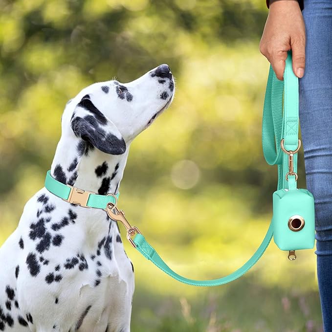 PET ARTIST Soft PU Leather Dog Collar, Bright Color & Durable Dog Collar Leather with Rose Gold Quick Release Metal Buckle, Adjustable Nylon Padded Pet Collars for Small Dogs, Neck Fit 9-14"
