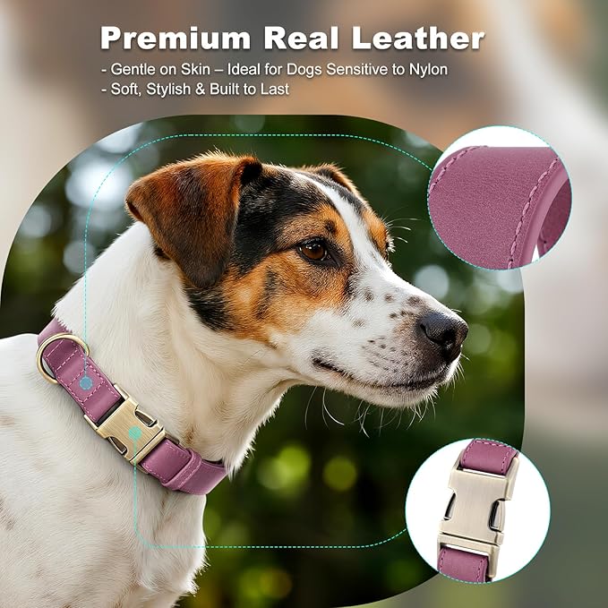 Plutus Pet Genuine Leather Dog Collar – Adjustable Pet Collar with Quick Release Metal Buckle, Soft Real Leather for Small Medium Large Dogs, Heavy Duty & Skin-Friendly (Purple, M)