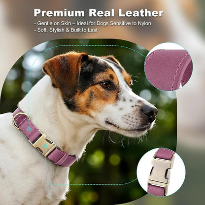 Plutus Pet Genuine Leather Dog Collar – Adjustable Pet Collar with Quick Release Metal Buckle, Soft Real Leather for Small Medium Large Dogs, Heavy Duty & Skin-Friendly (Purple, XS)