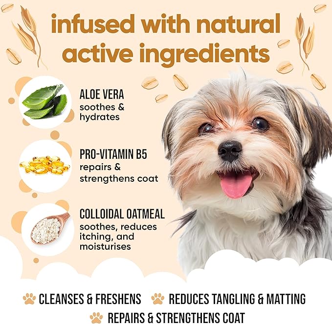 Oatmeal Dog Shampoo by Buddycare | Shampoo for Dogs with Irritated Skin | Relieving and Rehydrating | with Aloe Vera and Pro Vitamin B5 (169.07oz)