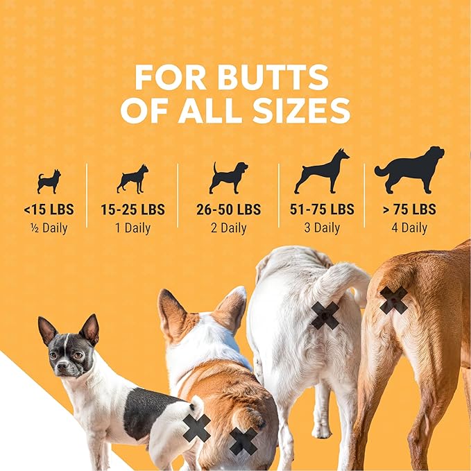 Nutramax Filaquin Anal Gland Supplement for Dogs, from The Same Company as Cosequin & Proviable, with Pre & Postbiotics and Psyllium Husk Fiber to Support Anal Gland Health, 90 Count Soft Chews