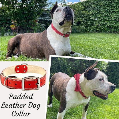 ADITYNA Heavy-Duty Leather Dog Collar for Large Dogs - Soft Padded for Comfort - Red Dog Collar for Walking, Training, and Hiking
