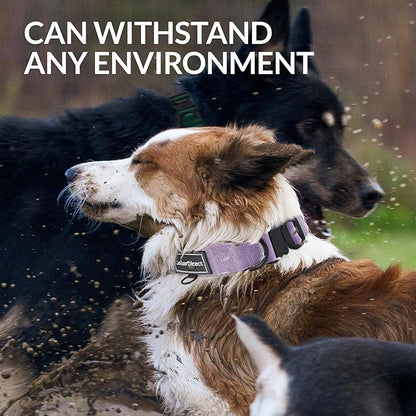 Heavy Duty Dog Collar for Large or Medium Dogs, Adjustable Strong Dog Collar for Active Dogs, Double-Layered Nylon (Lilac, 15-23)