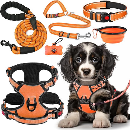 LOBEVE No Pull Dog Harness, Collar & Leash Set | Includes Dog Seat Belt, Collapsible Bowls & Poop Bag Dispenser. Ideal for Training, Walking, Hiking. Fits Small to Large Dogs(Orange-S)