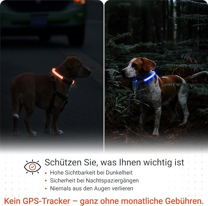 PAJ GPS – PAJ Light – Glowing LED Collar for Dogs – Cut-to-Fit (20–70 cm) – 100% Waterproof – 7 Color Modes – Night Safety & Visibility