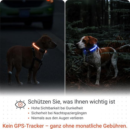 PAJ GPS – PAJ Light – Glowing LED Collar for Dogs – Cut-to-Fit (20–70 cm) – 100% Waterproof – 7 Color Modes – Night Safety & Visibility