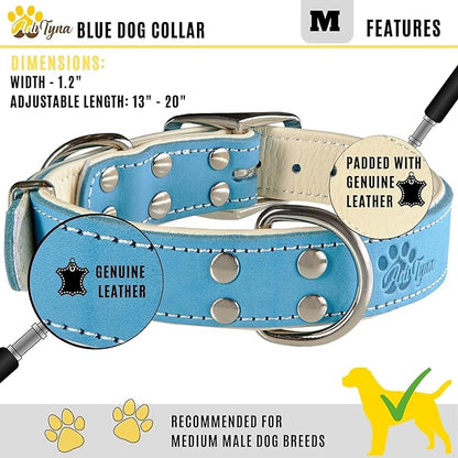 ADITYNA Heavy-Duty Leather Dog Collar for Medium Dogs - Soft Padded for Comfort - Blue Dog Collar for Walking, Training, and Hiking