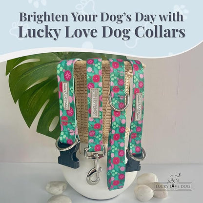 Lucky Love Dog - Adjustable Dog Collar with Easy Click Buckle for Large Dogs, Durable, & Comfortable for Male & Female Dogs, Pet Collar for Puppies & Adult Ones - Penny, Large