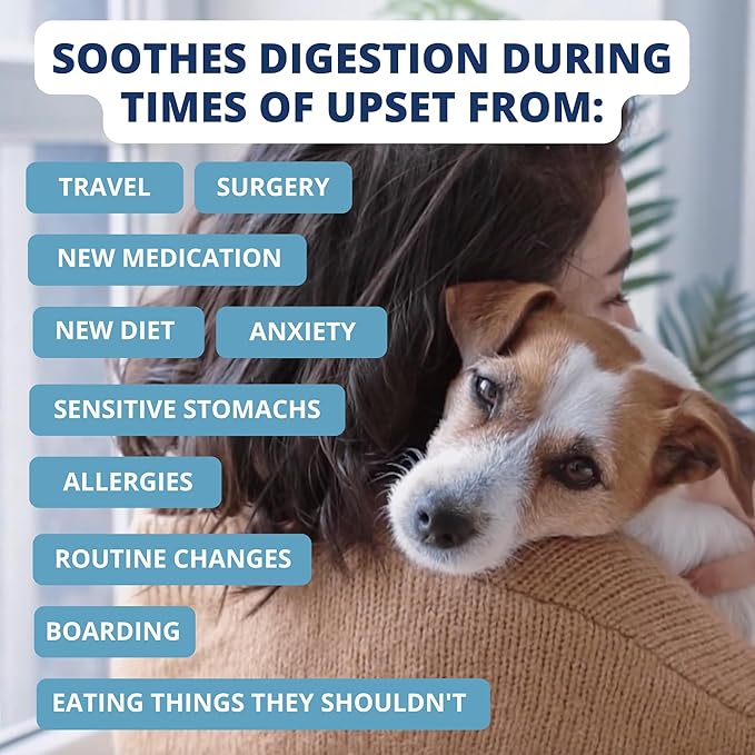 Under the Weather Bland Diet for Dogs | Easy to Digest for Sick Dogs |Always Be Ready| Contains Electrolytes - All Natural Freeze Dried 100% Human Grade Meats| 2 Pack- Chicken, Rice & Bone Broth - 6oz
