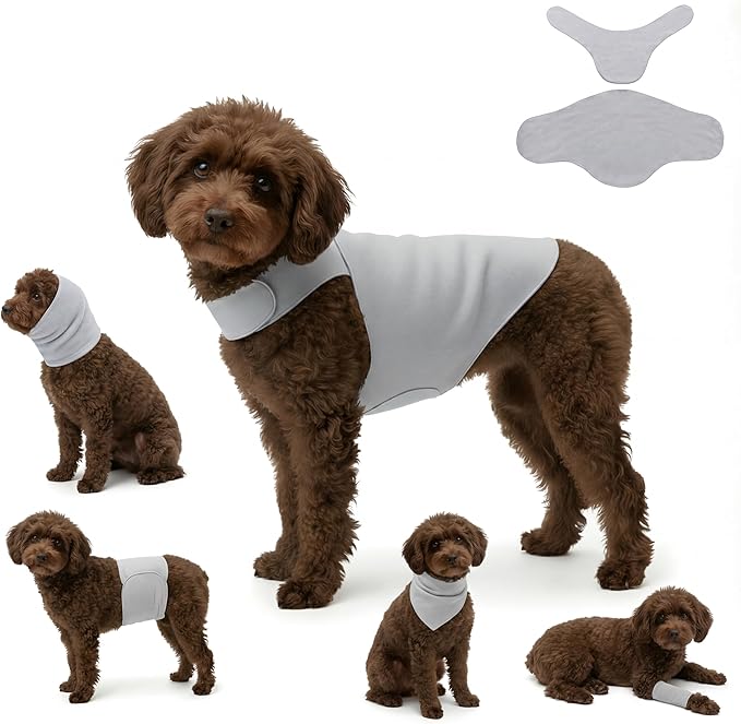 DAJIDALI® Dog & Cat Anxiety Vest & Female Spay Recovery Suit – Silent No-Velcro Calming Wrap – Universal Fit for All Breeds (Including Corgi & Frenchie)