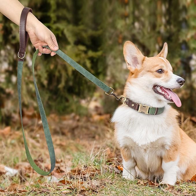 Didog PU Leather Dog Leash for Small Dogs 4.5ft, Soft Padded Handle Dog Leashes for Medium Size, Walking and Training Leashes Faux Leather for Large Pet,Green