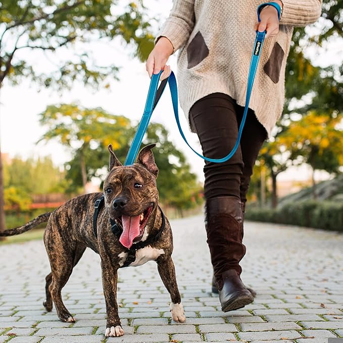 PetiFine 6FT Heavy Duty Dog Leash with Soft Padded Double Handle, Durable Strong Clasp Dog Leashes, Reflective Nylon Walking Lead for Large,Medium,Small Breed Dogs, Blue