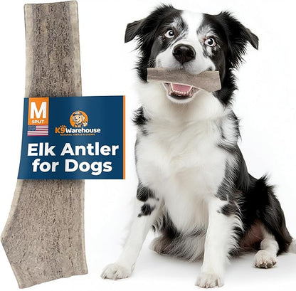K9warehouse Natural Split Elk Antlers for Dogs - Premium Grade Dog Antler Chews - Long-Lasting Deer Antles Ideal for Aggressive Chewers - Safe USA Sourced Chew for Medium and Large Dogs - 1 Pack