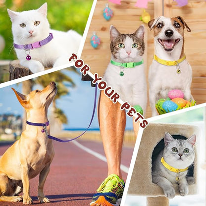 Amylove 48 Pcs Dog Collar and Leash Set, Polypropylene Adjustable Puppy Collars for Medium Dogs Small Pet Puppy Walking Training with Hook and Buckle(Multicolor,Solid Pattern)