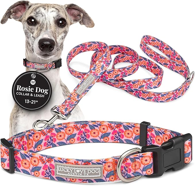 Lucky Love Dog - Easy Click Buckle Dog Collar with Leash Set Combo, Durable & Comfortable for Male & Female Dogs, Pet Collar for Medium Dogs, Secure Fit - Floral Rosie Combo, Medium