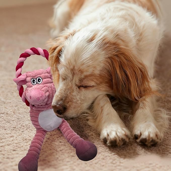 Plush Wrinkled Squeaky Dog Toy,2-Pack The Best Durable Teething Puppy Rope Chew Toy Keeps Them Busy Playing Hide-and-Seek Suitable for Puppy, Medium Dogs and Large Dogs (Pink & Gray)