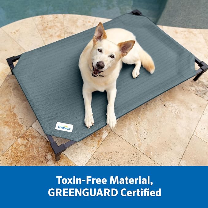 Coolaroo Pro Elevated Dog Bed with HeatShield Fabric – Advanced Cooling Raised Cot for Medium & Large Breeds, Easy-Clean, Low-to-Ground Access, Bonus Bolster Pillow – Pacific Crest Blue