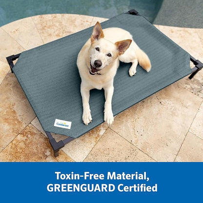 Coolaroo Pro Elevated Dog Bed with HeatShield Fabric – Advanced Cooling Raised Cot for Medium & Large Breeds, Easy-Clean, Low-to-Ground Access, Bonus Bolster Pillow – Pacific Crest Blue