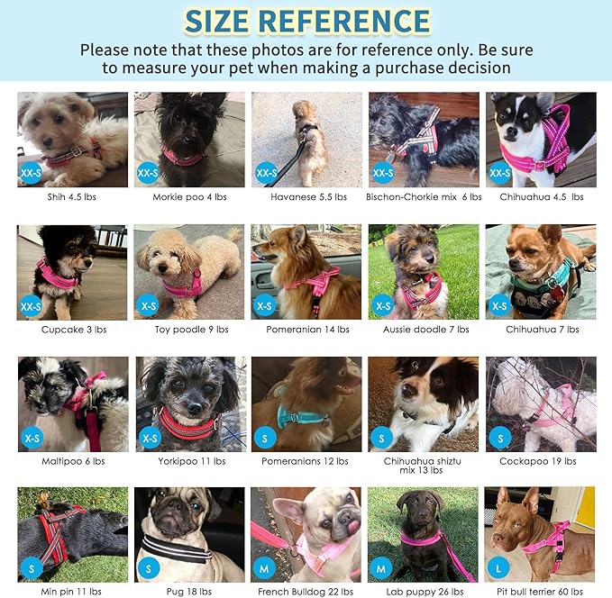 SlowTon No Pull Small Dog Harness and Leash Set, Puppy Soft Vest Harness Neck & Chest Adjustable, Reflective Lightweight & Anti-Twist Pet Lead Combo for Small Medium Dogs (PU-Front Clip, M)