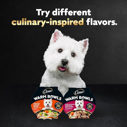 Cesar Warm Bowls Wet Dog Food Roasted Chicken Entree with Sweet Potatoes & Broccoli in Broth, Wet Food for Dogs, 2.7 oz. Bowls, 10 Count