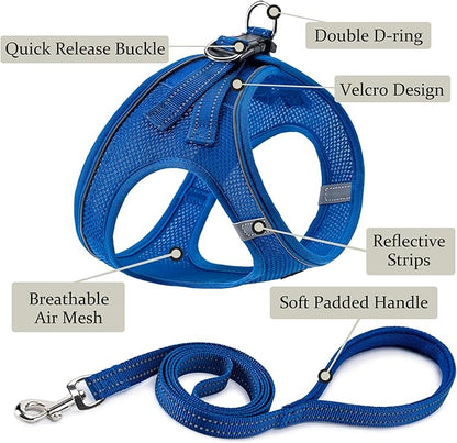 BOOMIBOO Dog Harness with Leash Set, No Pull Adjustable Reflective Step-in Puppy Pet Vest Harnesses for Small Medium Large Dogs and Cats,Blue M