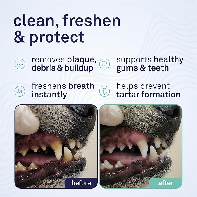Petpost Dental Wipes for Dogs | 100 Count Presoaked Pads in Natural Tooth Cleaning Solution | Bad Breath and Tooth Buildup Remover