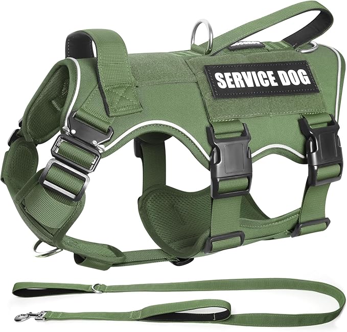Service Dog in Training Vest and Leash Set with 10 Patches,Heavy Duty Tactical Dog Harness with Metal Buckles for Large Dogs,No Pull Easy Walking for Training Working Hiking,Green L