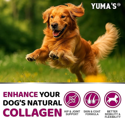 Advanced Collagen for Dogs - 170 Dog Collagen Chews - Hip and Joint Supplement - Skin & Coat Health, Cartilage & Mobility Support - Multi-Collagen Peptides - Glucosamine, Vitamin C, Hyaluronic Acid